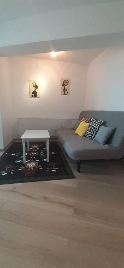 Apartament Central. Bloc Nou. Apartment Bacau Ngoại thất bức ảnh
