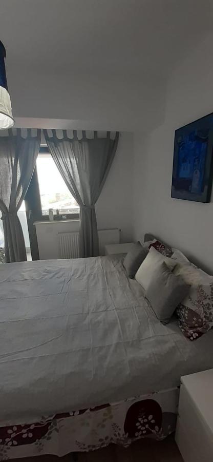 Apartament Central. Bloc Nou. Apartment Bacau Ngoại thất bức ảnh